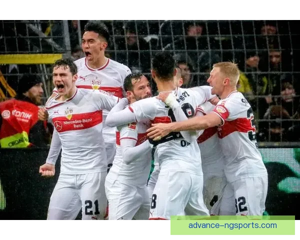 霍芬海姆1899俱乐部崛起之路与德甲赛场传奇探索战略解析研究论